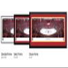 Calgary Flames - 42x15.5-inch Panoramic Select Framed Picture view 2