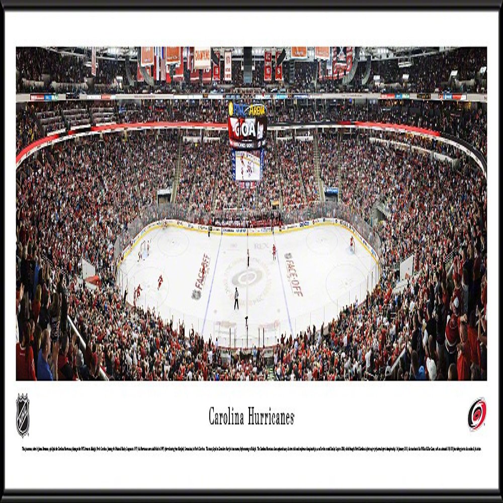 Carolina Hurricanes - 40.25x13.75-inch Panoramic Standard Framed Picture