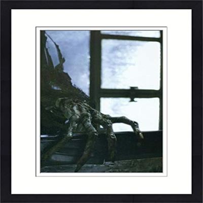 Sports Memorabilia Autograph Warehouse 559846 8 x 10 in. Dementor Hand Matted & Framed Photo - Harry Potter No.9