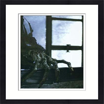 Sports Memorabilia Autograph Warehouse 559846 8 x 10 in. Dementor Hand Matted & Framed Photo - Harry Potter No.9