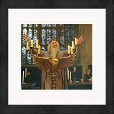 Autograph Warehouse 559840 8 x 10 in. Albus Dumbledore Matted & Framed Photo - Michael Gambone, Harry Potter No.10