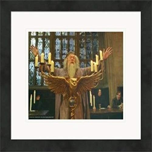 Autograph Warehouse 559840 8 x 10 in. Albus Dumbledore Matted & Framed Photo - Michael Gambone, Harry Potter No.10