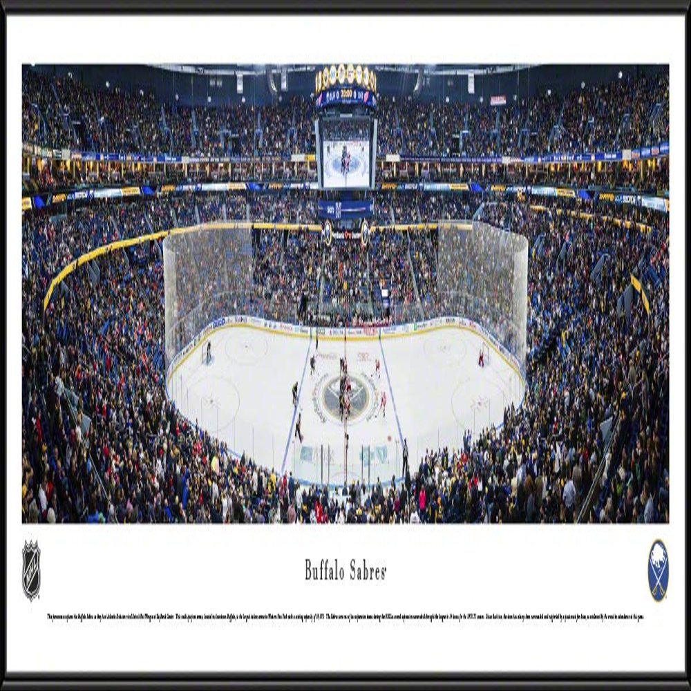 Buffalo Sabres - 40.25x13.75-inch Panoramic Standard Framed Picture