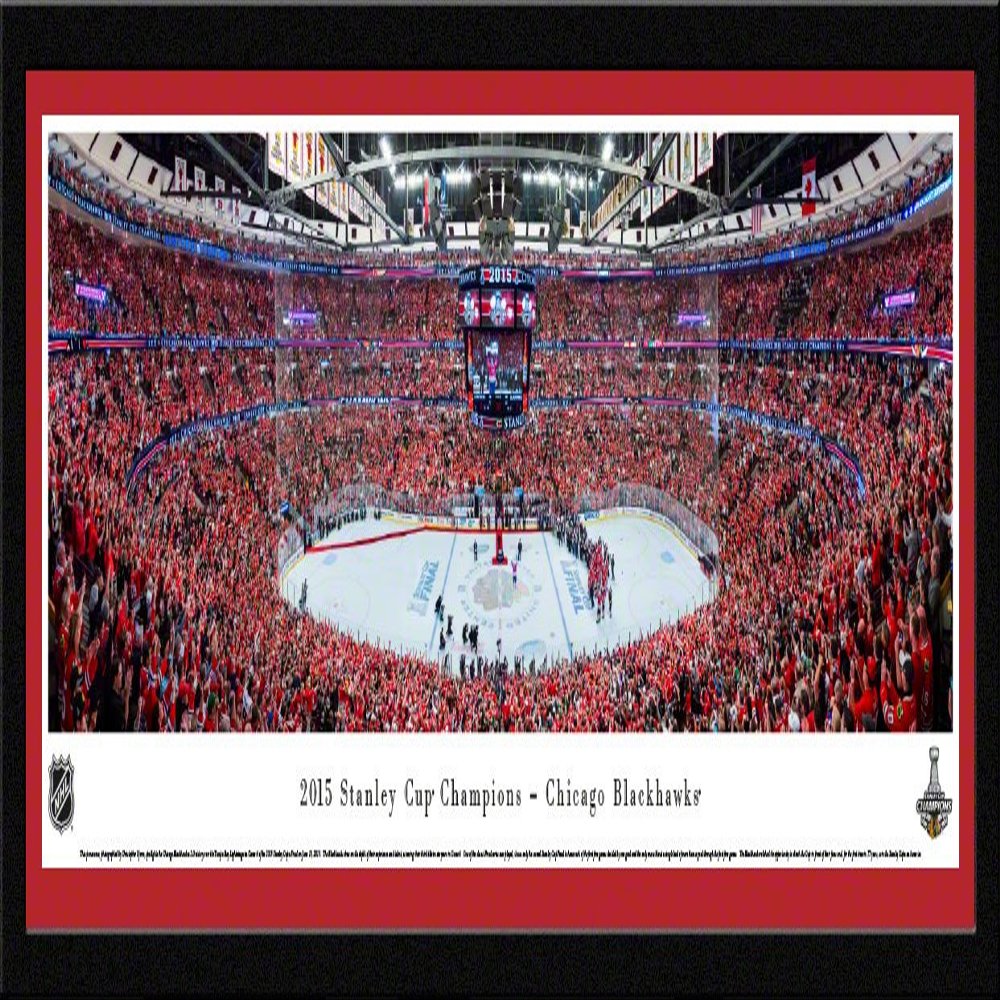 2015 Stanley Cup Champions - Chicago Blackhawks - 42x15.5-inch Panoramic Select Framed Picture