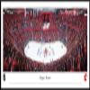 Calgary Flames - 40.25x13.75-inch Panoramic Standard Framed Picture view 1