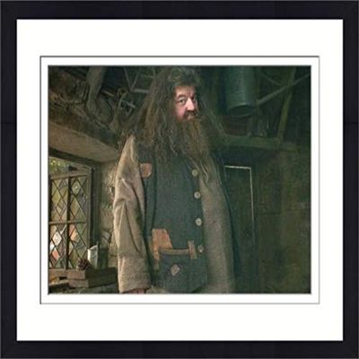 Autograph Warehouse 559844 8 x 10 in. Rubeus Hagrid Matted & Framed Photo - Robbie Coltrane, Harry Potter No.2