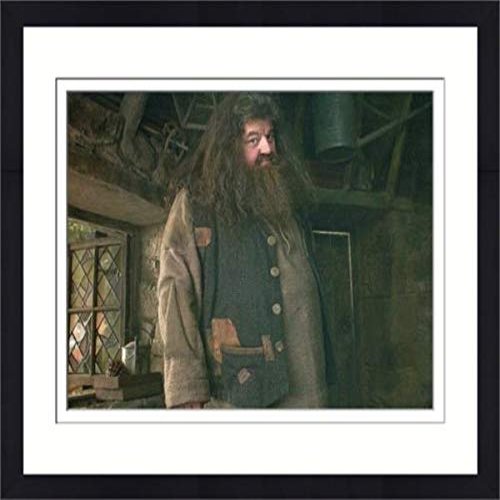 Autograph Warehouse 559844 8 x 10 in. Rubeus Hagrid Matted & Framed Photo - Robbie Coltrane, Harry Potter No.2