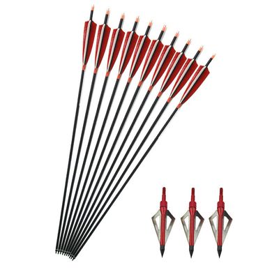 MILAEM 12 Pack 30 inch Carbon Arrow Shaft Spine 500 Carbon Practice Hunting Arrow Fletched 5 Inch Turkey Feather with Removable Tips (Arrow and broadheads)