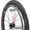 Set of 2, 24" RX16 Wheel (16 Spokes) with Nevegal Tire (All Terrain, 2in Tire) view 2