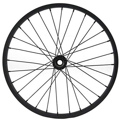 EXPRESSIONS 16.5" Black Dia Decorative Bike Rim