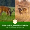 HIT LIST SEED Alfalfa + Clover Food Plot Seeds for Deer [Perennial] - Food Plot Seed Perennial - Deer Plot Seed Mix - Ladino/Red/Crimson Clover, Alfalfa, Chicory - Spring & Fall Planting - 5 lbs view 4