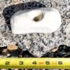 Pinch Alot Polyurethane Bolt-On Rock Climbing Wall Hand Hold (White) view 2