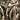 Banded Gear Youth Atchafalaya Camo Pullover (Realtree Max-5, Small)