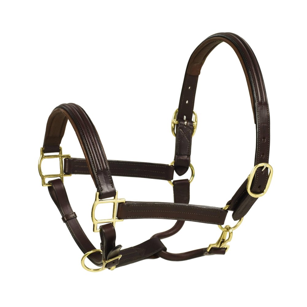 ARAMAS Double Raised Padded Halter- 1 Inch Wide