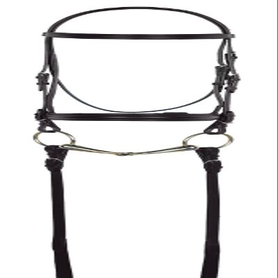 ARAMAS Plain Raised Padded Dressage Bridle with Web Reins