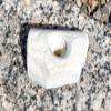 Single Handed Jug Polyurethane Bolt-On Rock Climbing Wall Hand Hold (White) view 2