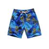 The Season Essentials Funny Summer Swim Trunks for Kids, Quick Dry Swim Shorts for Boys and Girls, Bathing Suits, Swimwear, Swim Shorts Designs, Quick Dry Nylon Shorts, Blue (Palm), 5-6T view 1