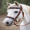 CHALLENGER Horse Western Leather Beaded Bitless Sidepull Bridle Reins 77RS16MG-F view 2