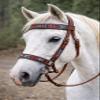 CHALLENGER Horse Western English Leather Beaded Bitless Sidepull Bridle Reins 77RS17MG-F view 2