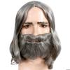 Biblical Wig and Beard Set view 1