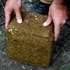 Ani-Logics Outdoors Crush Acorn Block Attractant - Long-Lasting Deer Feed & Attractant for Herd Health, Antler Growth, and Consistent Site Visits - 20 lb view 2