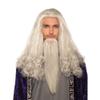Rubies Men's Forum Wise Wizard Costume Wig and Beard, White, One Size view 1