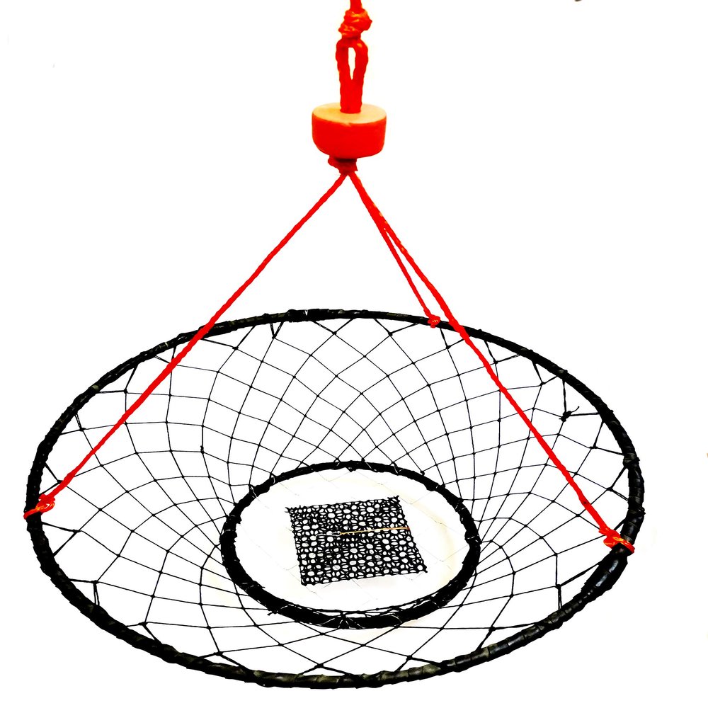 KUFA Rubber Wrapped Steel Ring Crab Trap (Size:30) with 50' Rope and The Bait cage (CT88+27093)