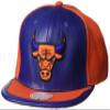Day One Snapback Chicago Bulls view 1