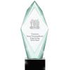 13" Jade Epic Thank You with Band Aid Crystal Award, Custom Engraved Thank You with Band Aid Trophy, Engraving Included, Prime view 1