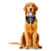 Littlearth NFL Las Vegas Raiders Pet Bandana, Team Color, Large view 1