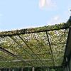 KDDEON Outdoor Shade Net Decoration Sunscreen Encryption Camouflage Netting,Jungle Woodland Camo Net,for Campin,Hunting Blinds,Military,Shooting,Watching Hide,Tree Stands (10x10m/32.8x32.8ft) view 3