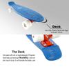 Swell Skateboards for Kids Ages 6-12 | Cruiser Complete Skateboard for Beginners, Boys, Girls, Youths, Teens, Adults College Students | 22 inch and 28 Inch Plastic Retro Mini Skateboard (22" Oceans) view 2