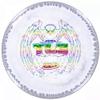 Innova Limited Edition CFR Halo Star TL3 Fairway Driver Golf Disc [Colors May Vary] - 173-175g view 4