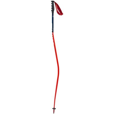 Swix Winter Sports Recreation Competition Alpine Skiing Racing World Cup WC Downhill Aluminum Poles (115 cm)