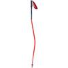 Swix Winter Sports Recreation Competition Alpine Skiing Racing World Cup WC Downhill Aluminum Poles (110 cm) view 1