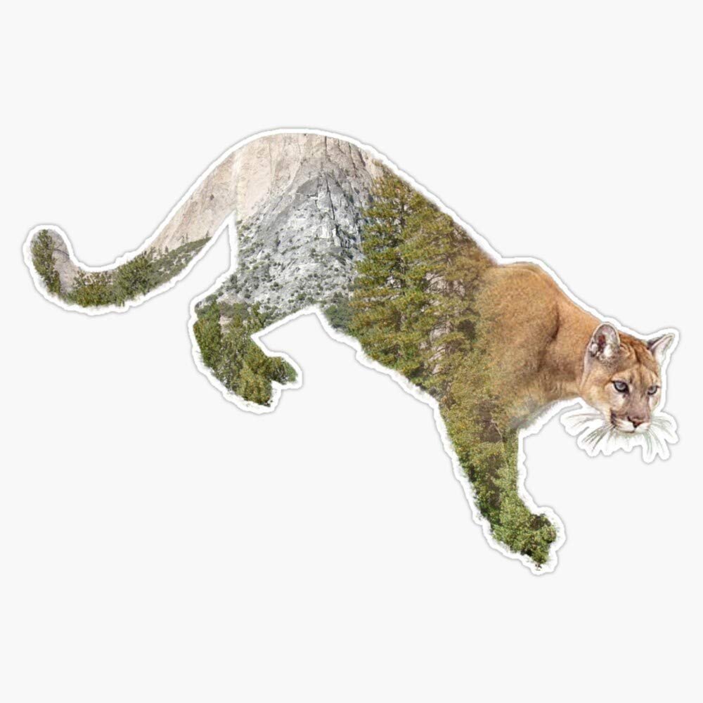Mountain Lion Sticker Outdoor Rated Vinyl Sticker Decal for Windows, Bumpers, Laptops or Crafts 5"