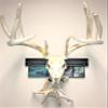 RACK TRACK  European Skull Mounting Kit - 18 Kit #1  (1) Skull Mount - Display Deer Skulls, Shed Antlers, Photographs, Arrows (Base Kit+(2) Photo Frame Mounts+Shed Antler Kit) view 1