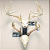 RACK TRACK  European Skull Mounting Kit - 18 Kit #2  (2) Skull Mounts (Base Kit+(2) Photo Frame Mounts) view 1