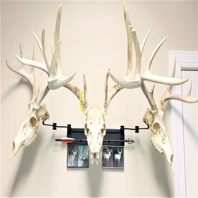 RACK TRACK European Skull Mounting Kit - 18 Kit #3 (3) Pivoting Skull Mounts (Base Kit+(2) Photo Frame Mounts+Arrow Mount)
