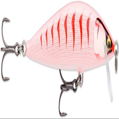 Rapala CDE75#GDCG Countdown Elite 3.0 inches (7.5 cm), 0.4 oz (10 g), Gildan Pearl Orange