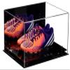 Better Display Cases Acrylic Shoe Pair Display Case for Soccer Cleats Football Cleats with Mirror, Black Risers and Black Base (A026/V12) view 1