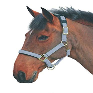 Shires Topaz Nylon Halter with BREAEKAWAY (Grey, Small Pony)