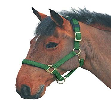 Shires Topaz Nylon Halter with BREAEKAWAY (Dark Greeen, X-Full)
