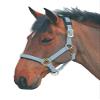 Shires Topaz Nylon Halter with BREAEKAWAY (Grey, X-Small Pony) view 1