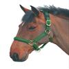 Shires Topaz Nylon Halter with BREAEKAWAY (Dark Greeen, Pony) view 1