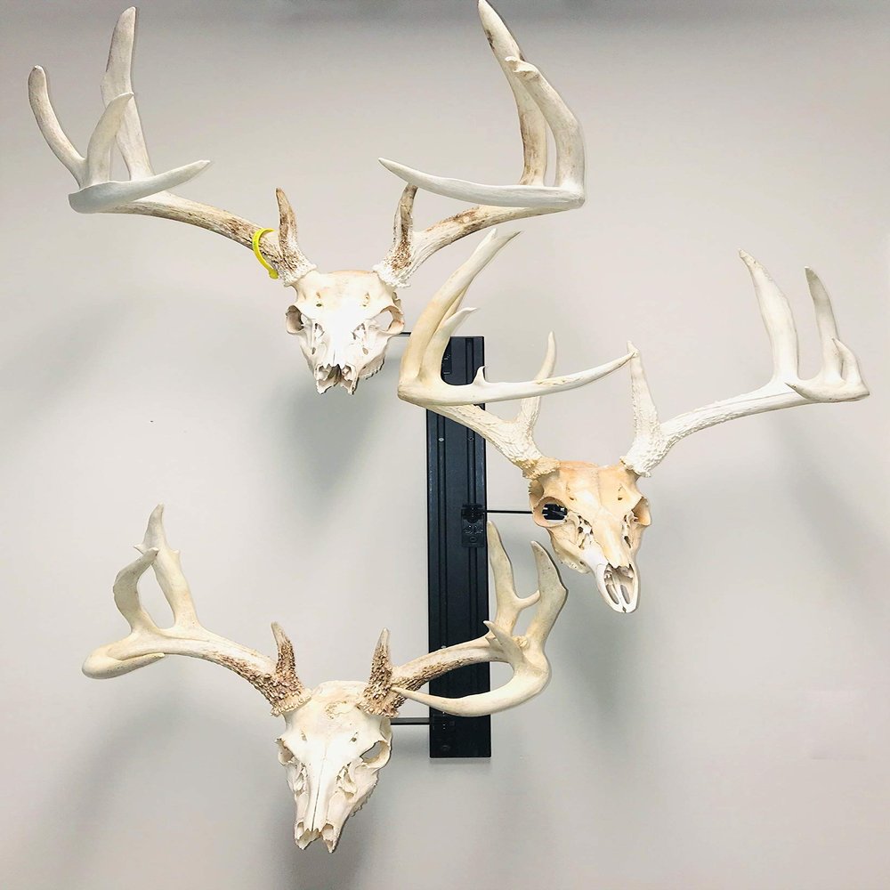 RACK TRACK European Skull Mounting Kit - 32 Kit #2 (3) Pivoting Skull Mounts (Base Kit)