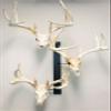 RACK TRACK  European Skull Mounting Kit - 32 Kit #2  (3) Pivoting Skull Mounts (Base Kit) view 1