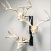 RACK TRACK  European Skull Mounting Kit - 32 Kit #2  (3) Pivoting Skull Mounts (Base Kit) view 2