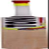 SS Kashmir Willow Leather Ball Cricket Bat, Exclusive Cricket Bat for Adult Full Size with Full Protection Cover (TON Maximus) view 2