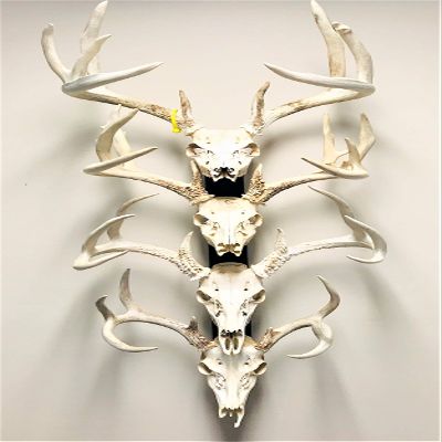 RACK TRACK European Skull Mounting Kit - 32 Kit #3 (4) Skull Mounts (Base Kit)